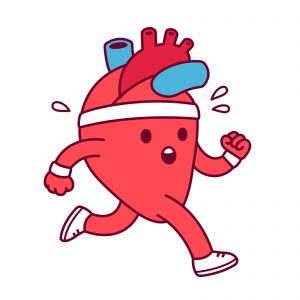 Medical Equipment Calibration - Cartoon healthy heart exercising vector illustration. Cute heart character in sweatband and running shoes jogging and sweating.